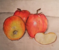 The Apples - Colored Pencil